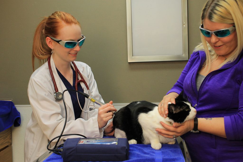 Laser Therapy in American Fork, UT