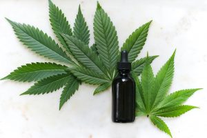 Cannabis and What You Need to Know