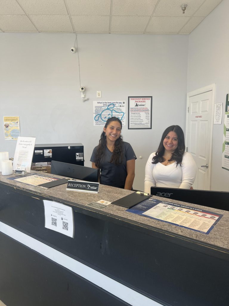 About Our Office in American Fork, UT Utah Veterinary Hospital